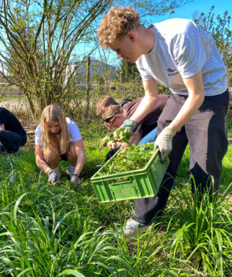 {{brizy_dc_image_alt imageSrc=